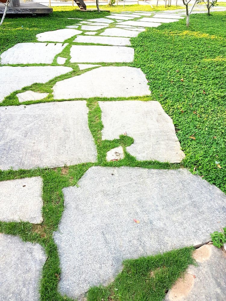 Oversized rock garden path