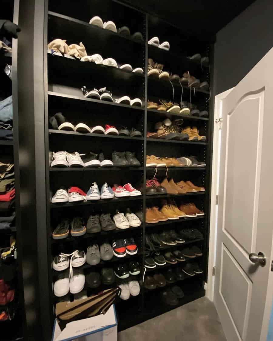 closet with footwear shelf