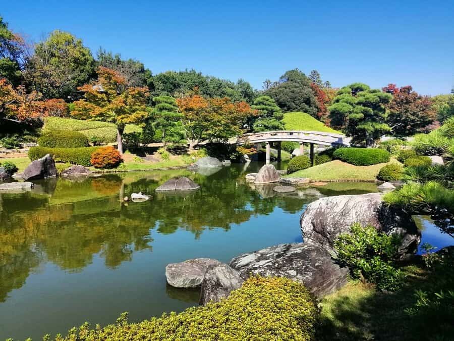 A serene Japanese garden with a curved bridge over a tranquil pond, surrounded by lush greenery and trees under a clear blue sky