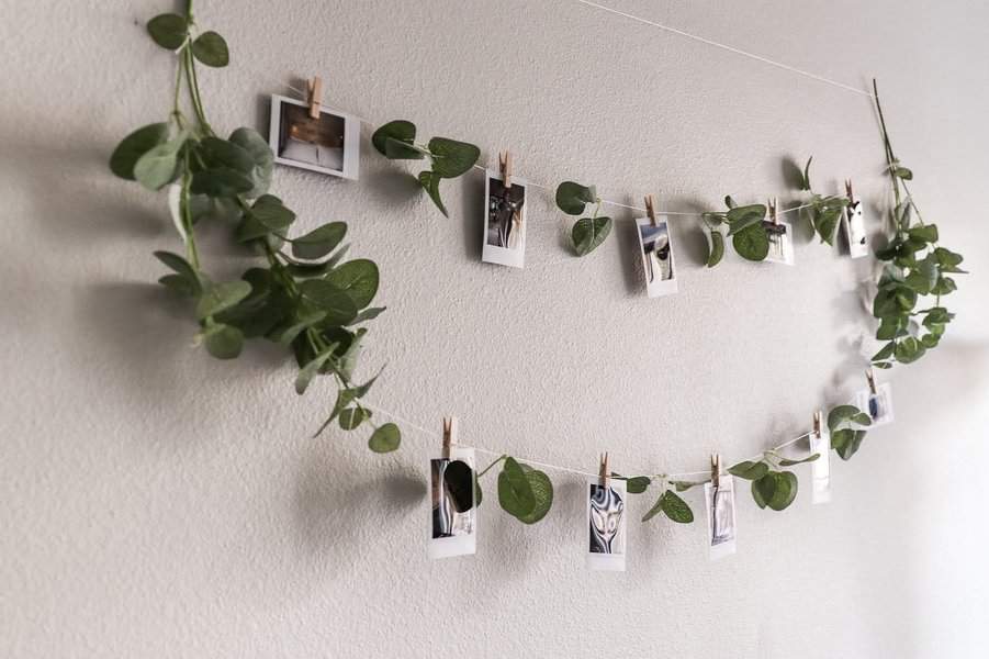 String of photos and green leaves hanging on a wall with clothespins