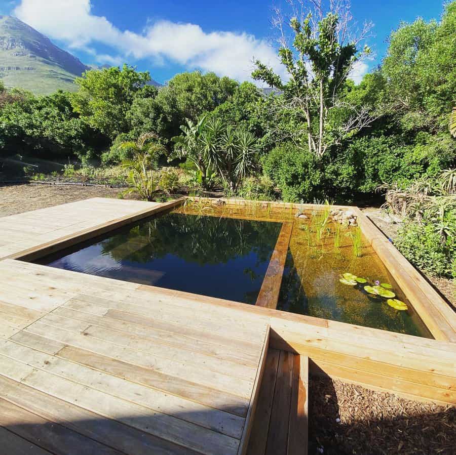 Natural swimming ponds