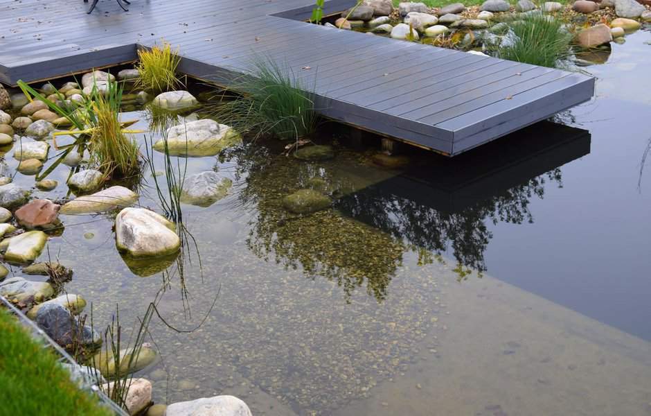 pond with deck