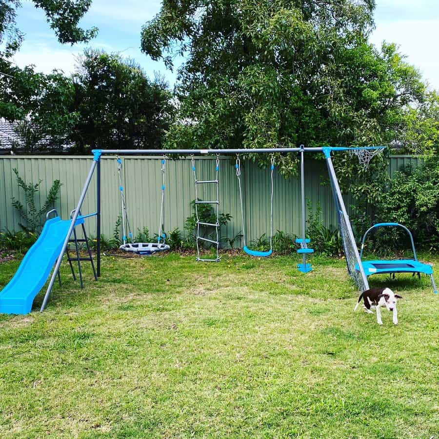 Backyard playground with a blue slide, swings, and ladder; a black and white dog stands on the grass nearby