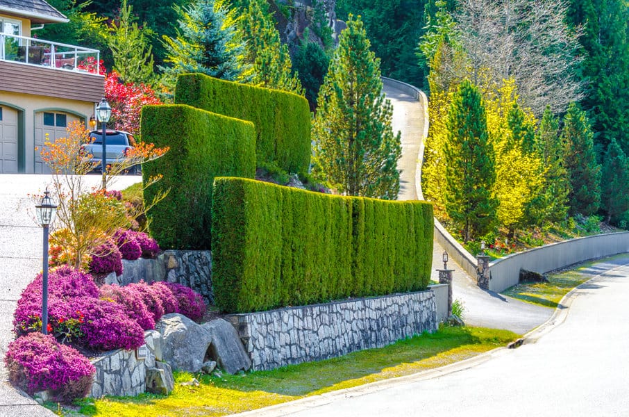 Well manicured topiary garden