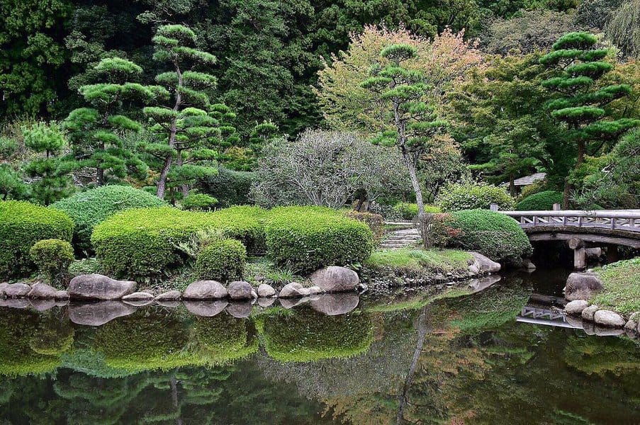 Japanese garden with manicured trees, a stone bridge, and a pond reflecting greenery, surrounded by lush vegetation