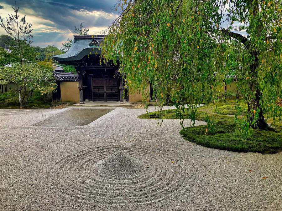 Japanese Zen garden with raked gravel patterns, a traditional wooden gate, and a weeping tree under a cloudy sky