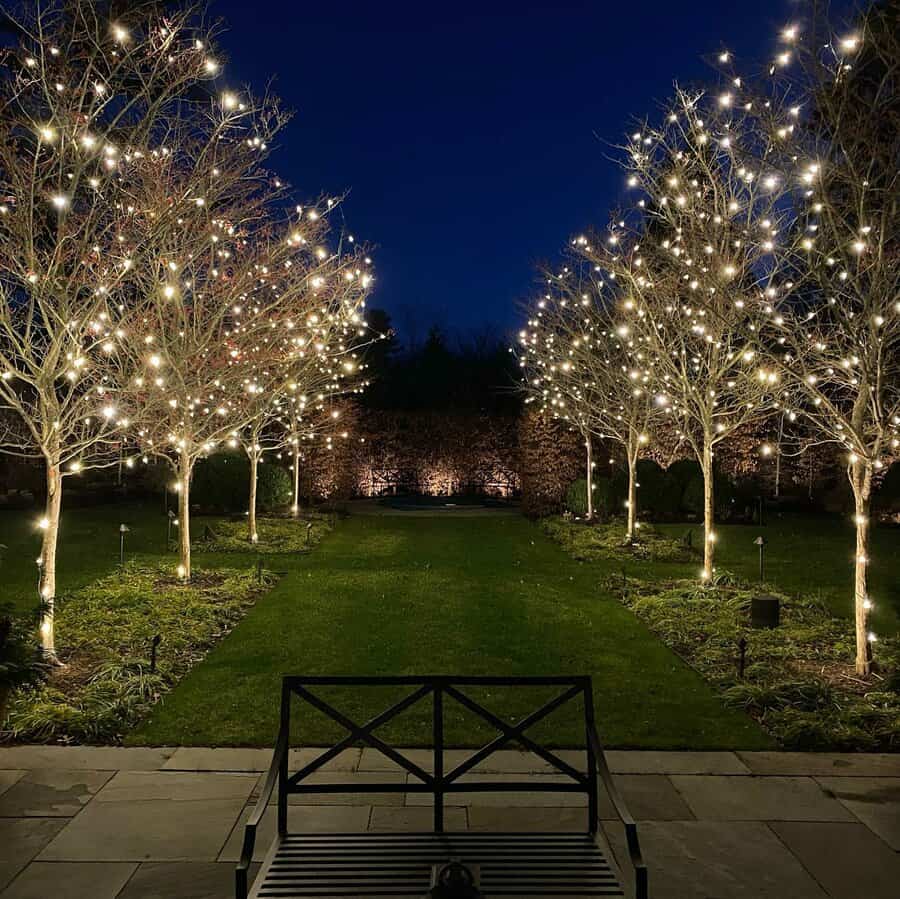 Tree Landscape Lighting Ideas shady tree llc 1