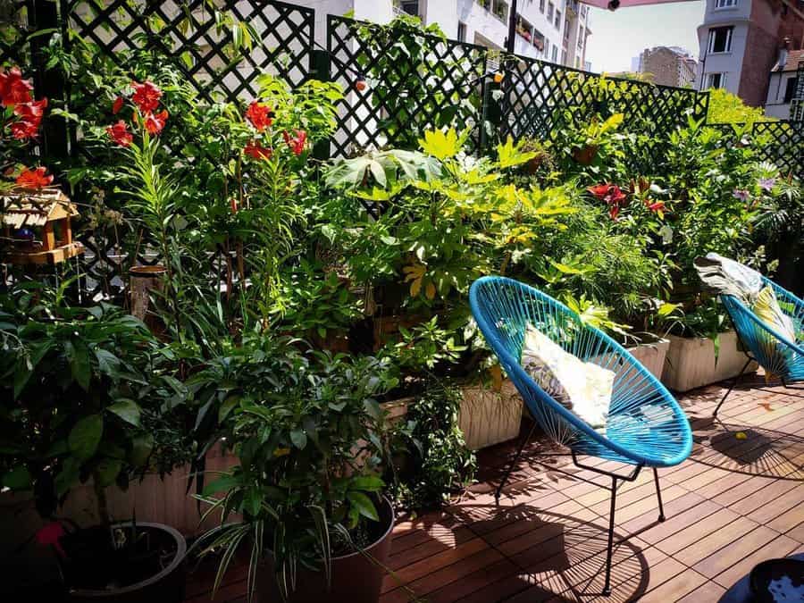 Tropical balcony designs