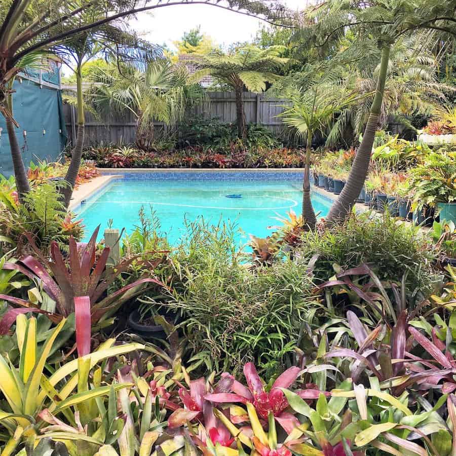 Tropical garden surrounding a blue swimming pool, filled with lush green plants and colorful foliage