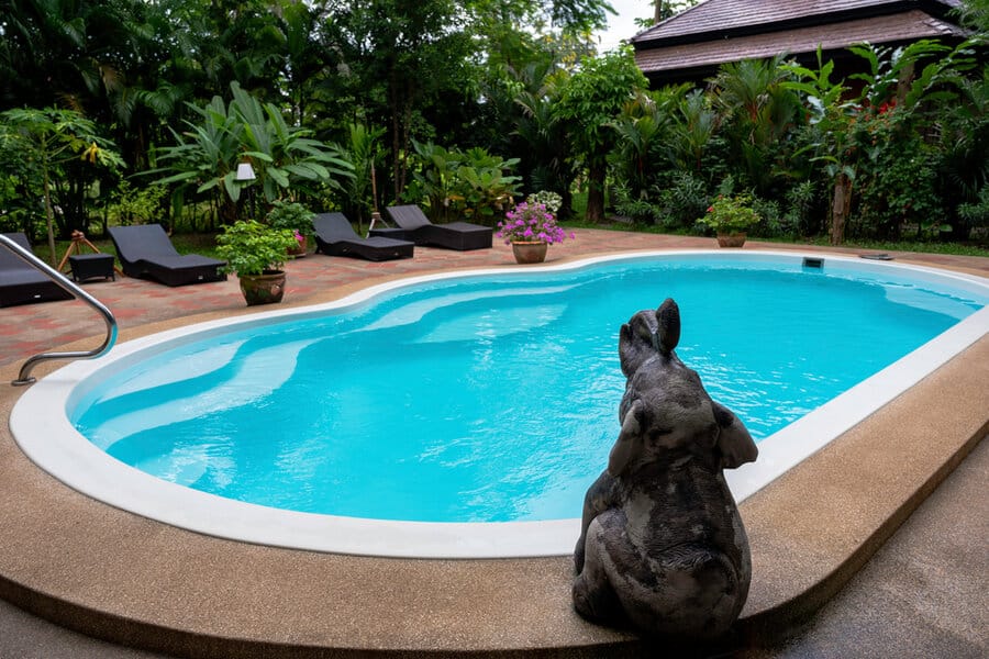 A small pool with turquoise water is surrounded by lush greenery and lounge chairs, while a stone elephant statue sits near the edge