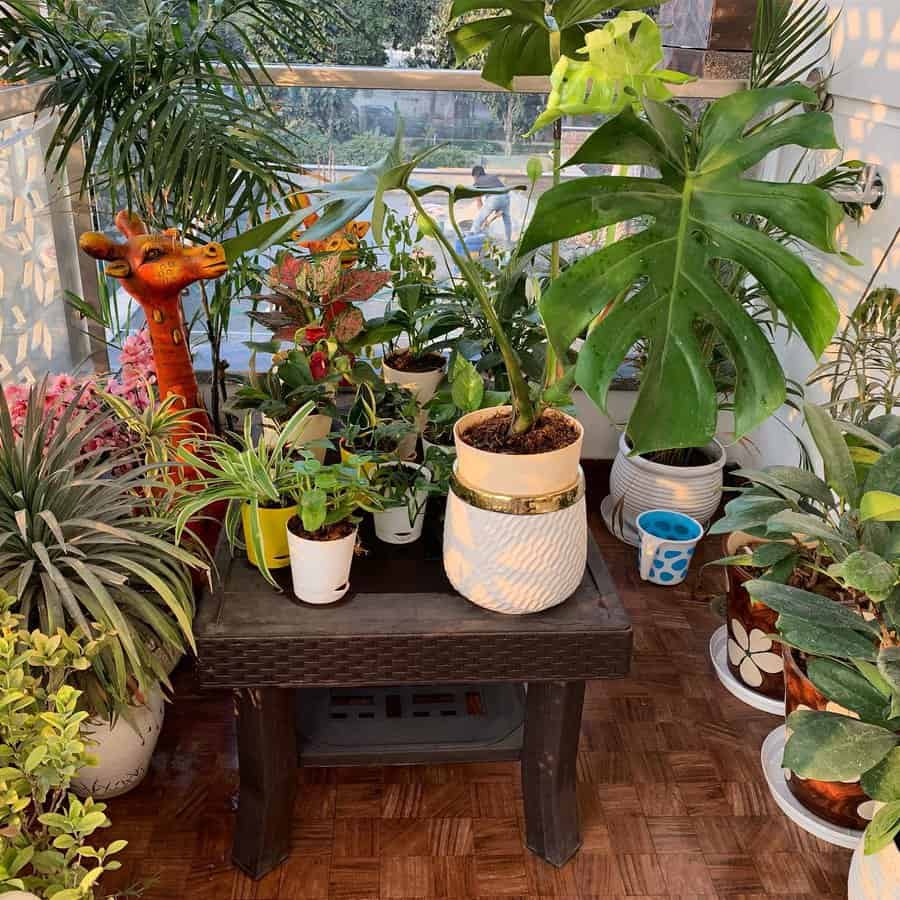 A variety of potted plants on a balcony, including a Monstera, with a small giraffe sculpture among the plants