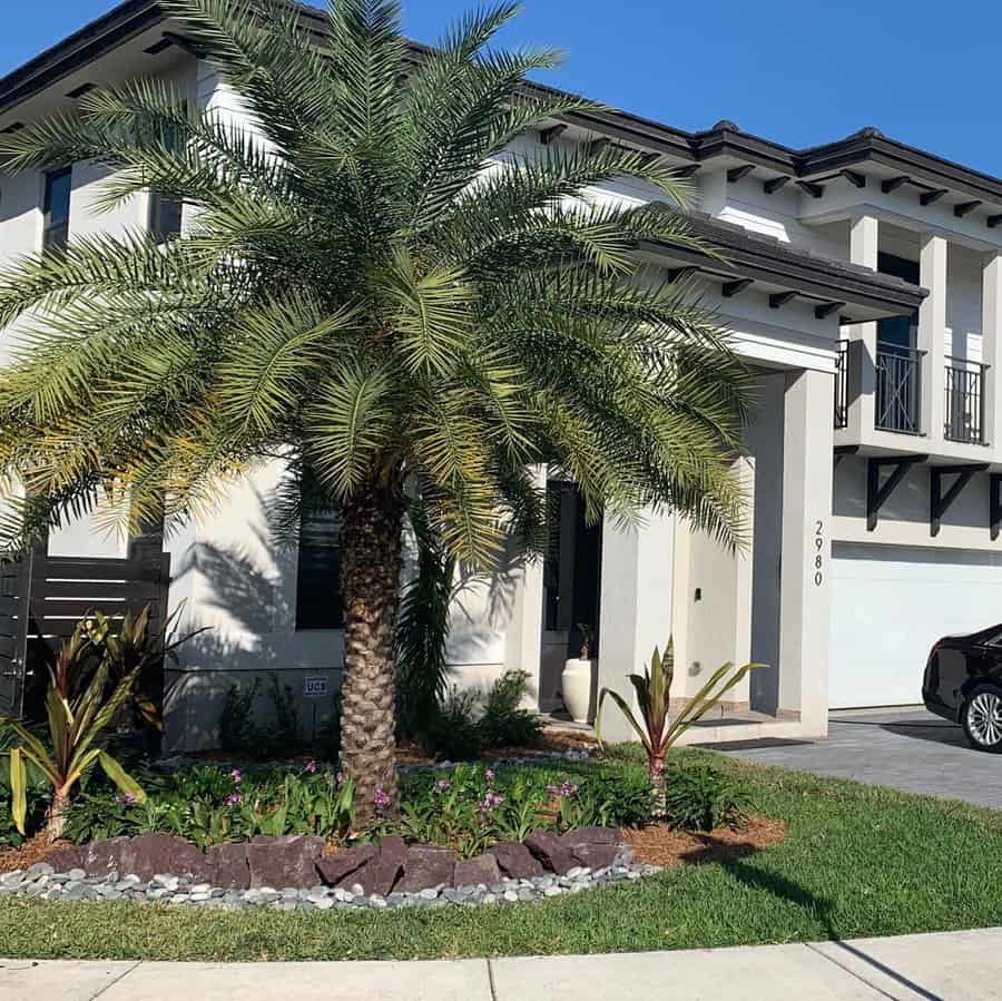 Entryway palm tree