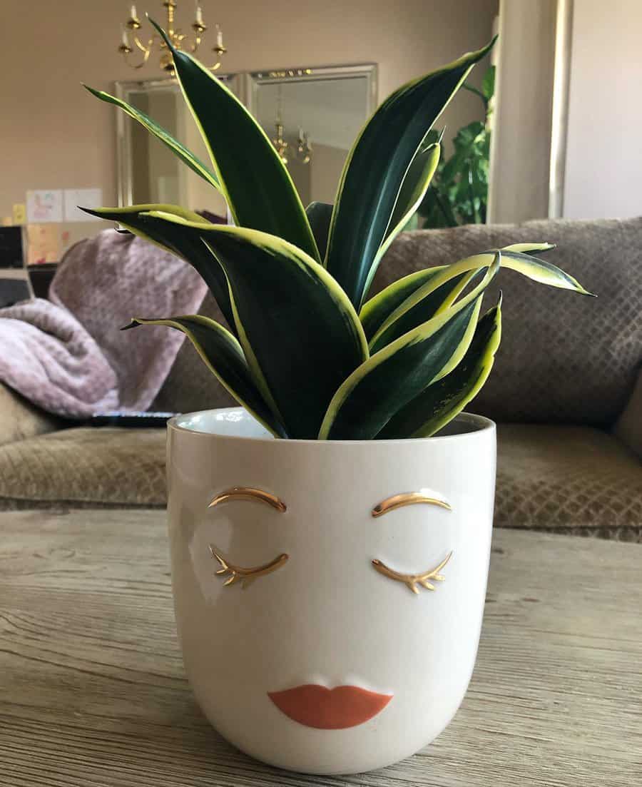 Head shaped pot