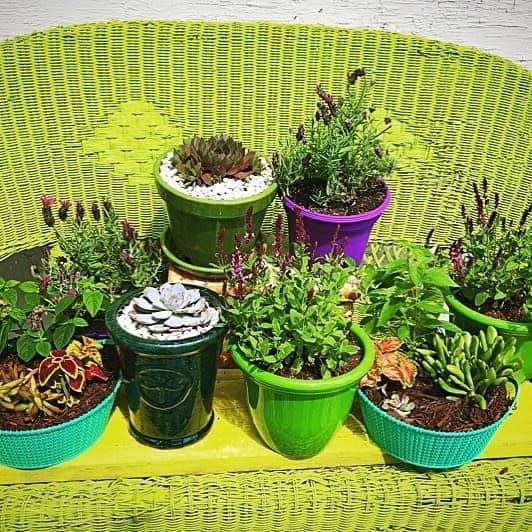 Garden upcycled art