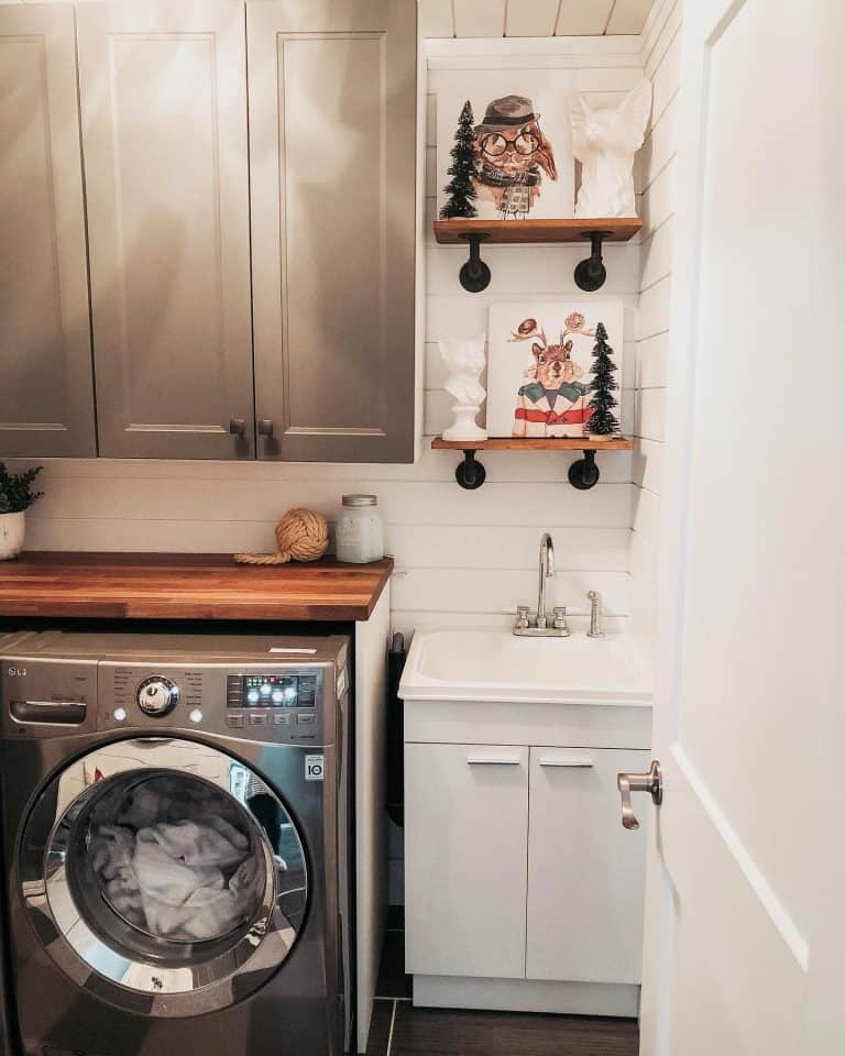 18 Basement Laundry Room Ideas