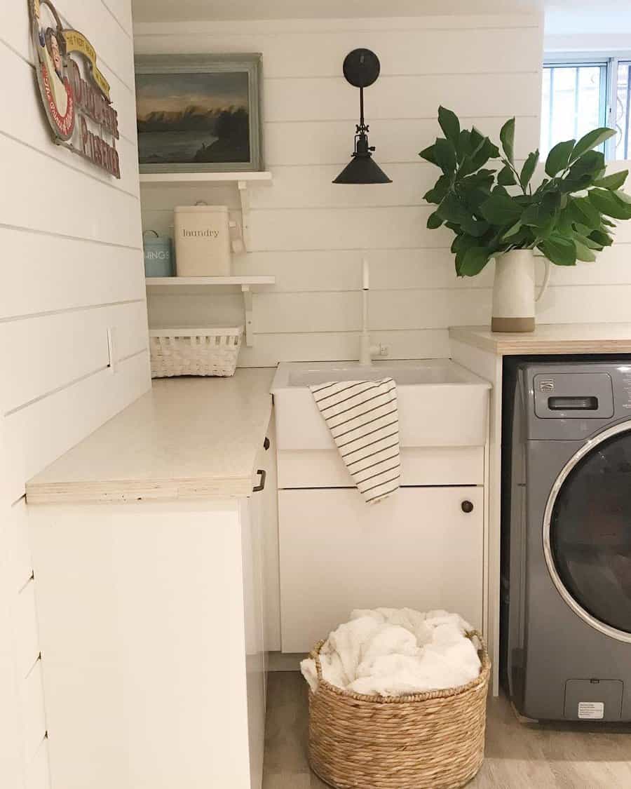 Laundry room plants