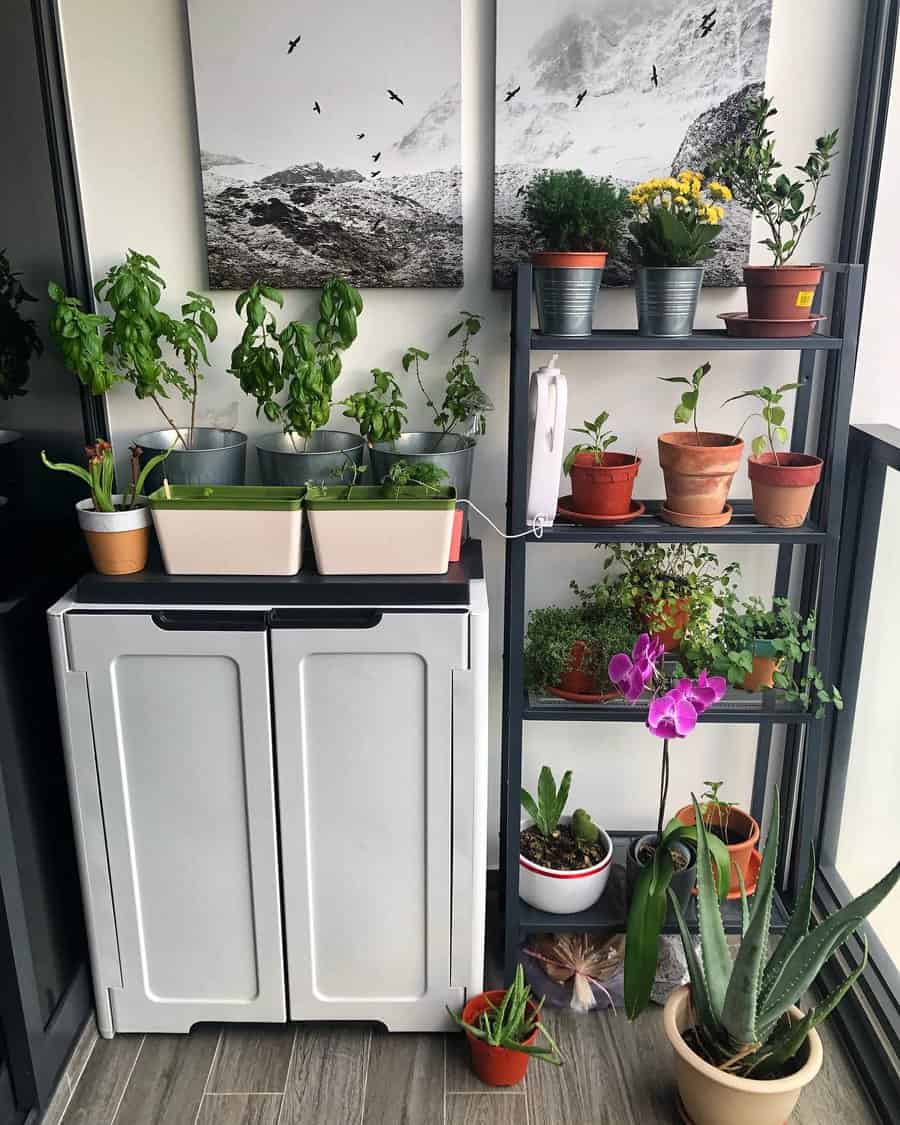 garden shelves