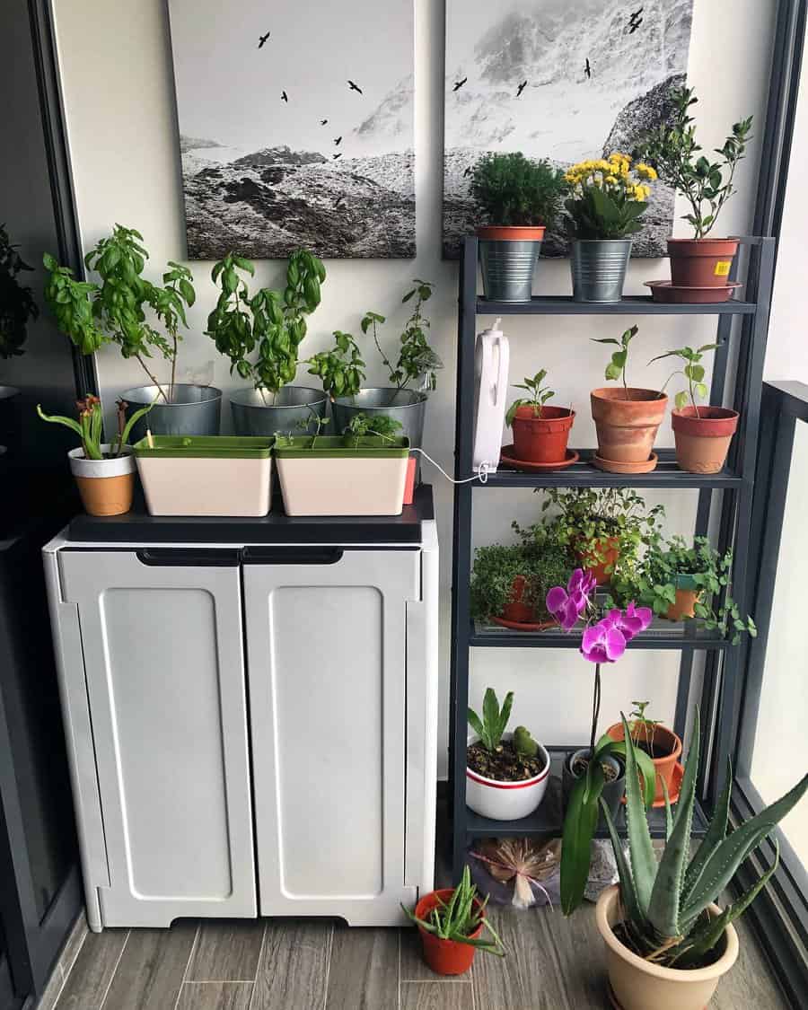 Modern balcony garden with vertical shelving, potted herbs, succulents, and orchids, complemented by minimalist decor and wall art