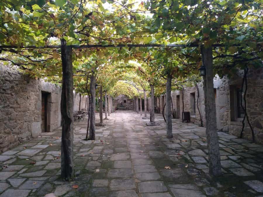 Vine covered arbors