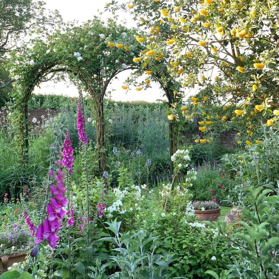 Vine covered arbors