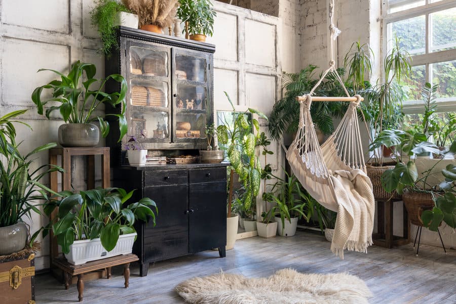 rustic living room with plants 