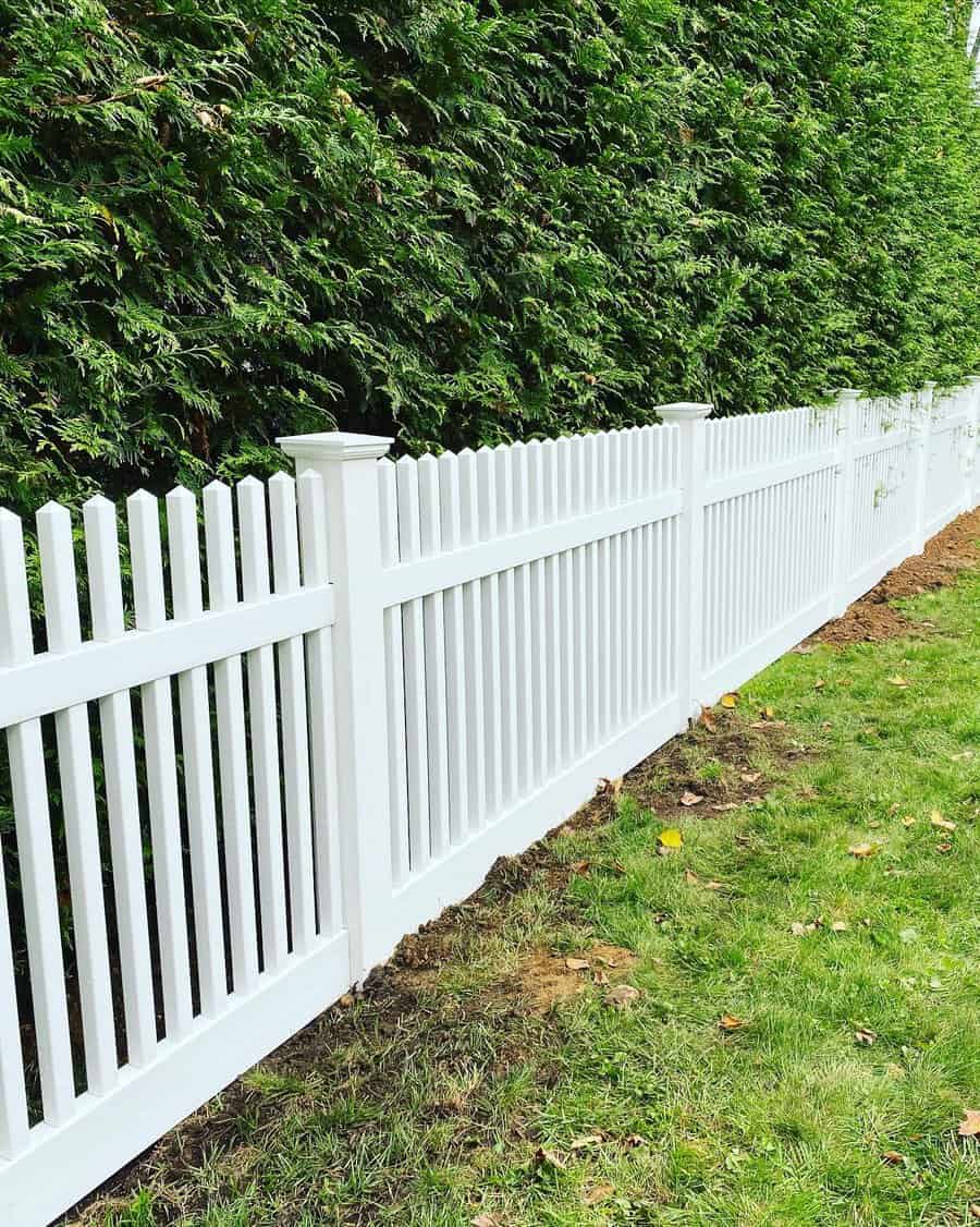 White vinyl fence