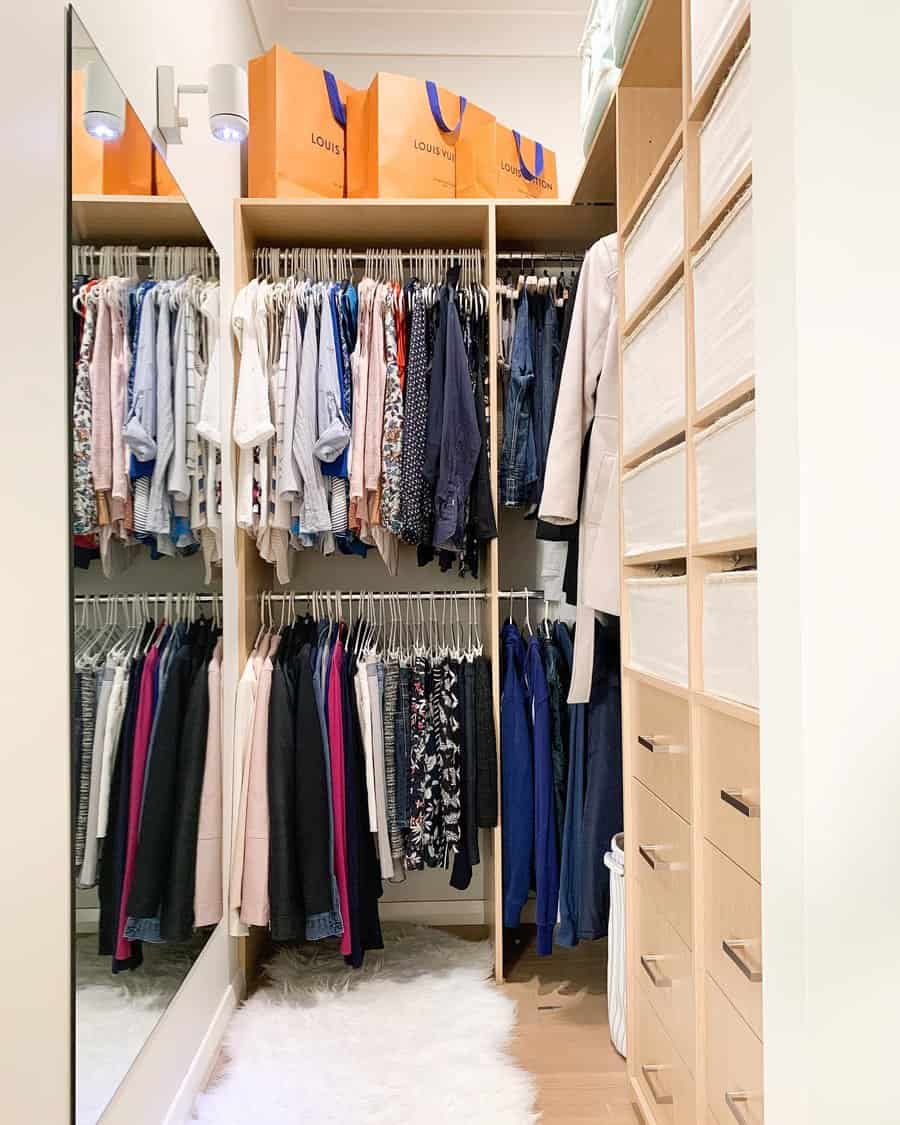 walk-in closet with rack poles