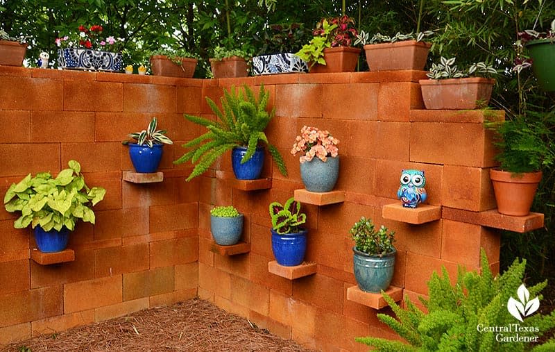 Terracotta wall with various potted plants and a decorative owl on brick shelves, surrounded by greenery