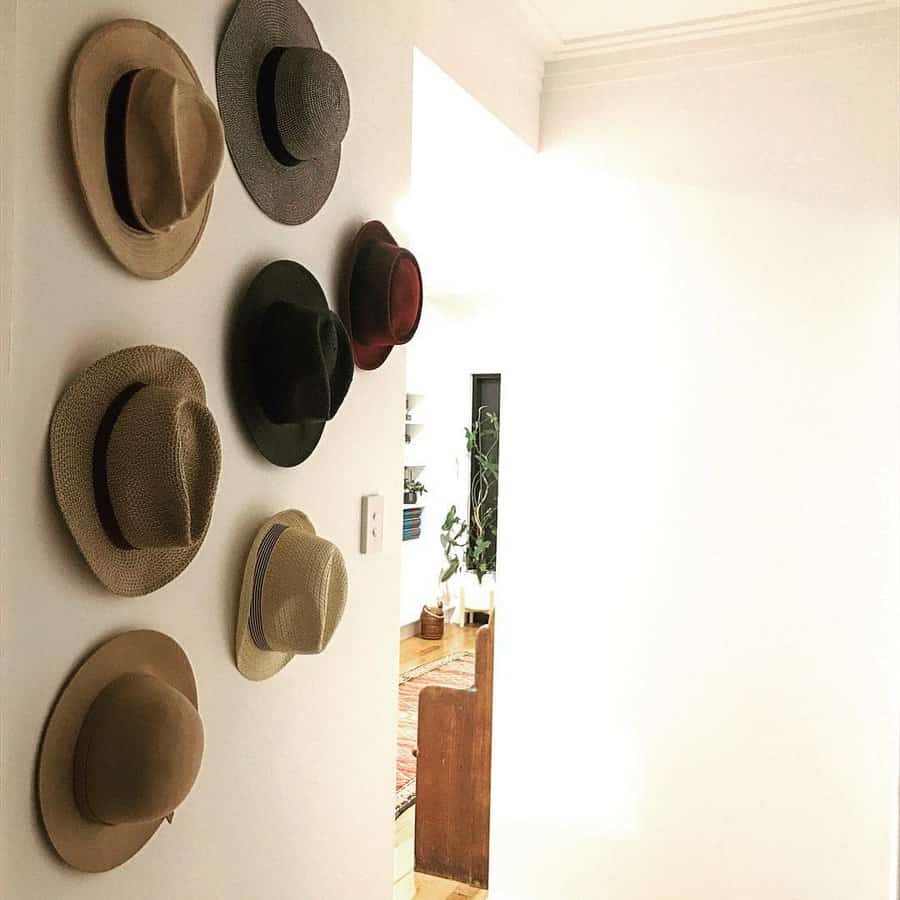 Wall mounted hat hooks