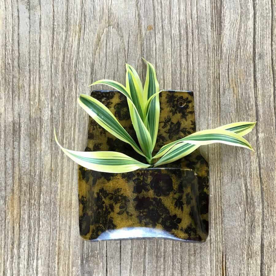 Wall hanging planter