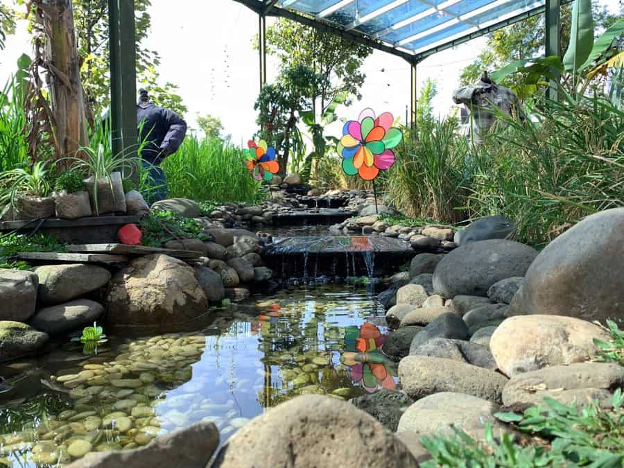 Waterfall Backyard Pond Ideas 1