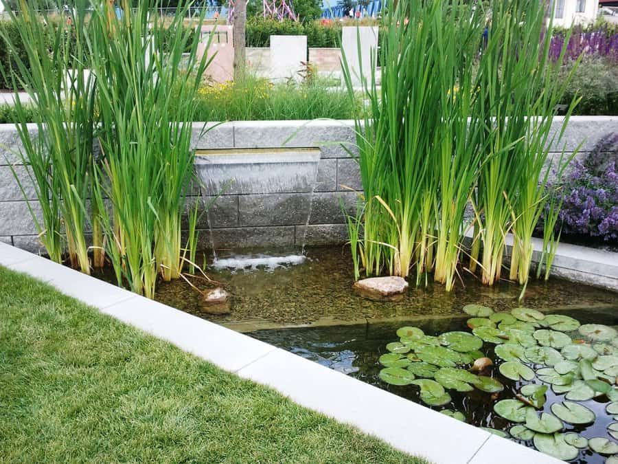 Waterfall Backyard Pond Ideas 2