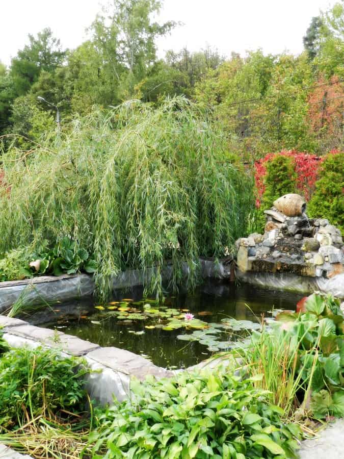 Ponds with waterfalls