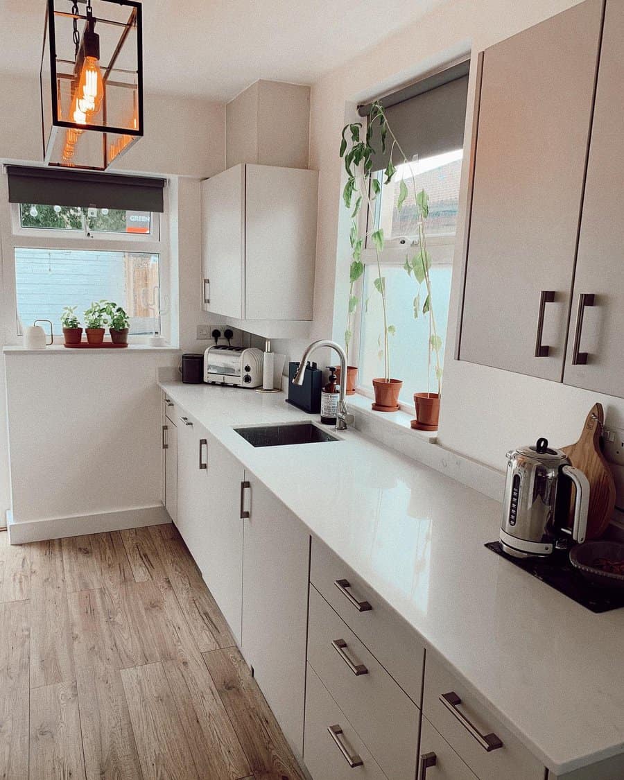 Sleek kitchen with modern lighting and plants