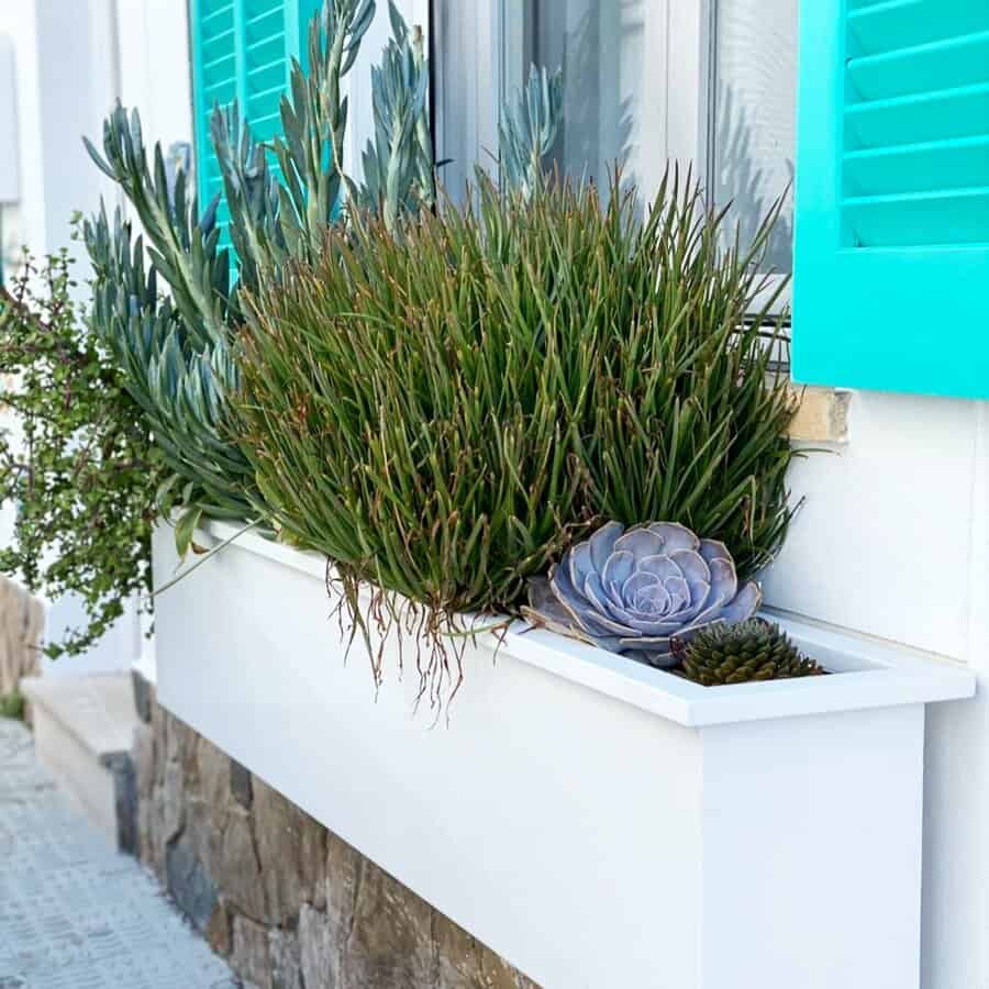 Standalone window box