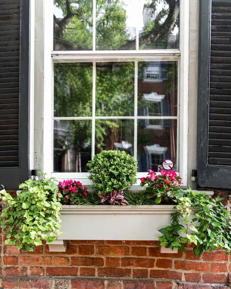 White window box