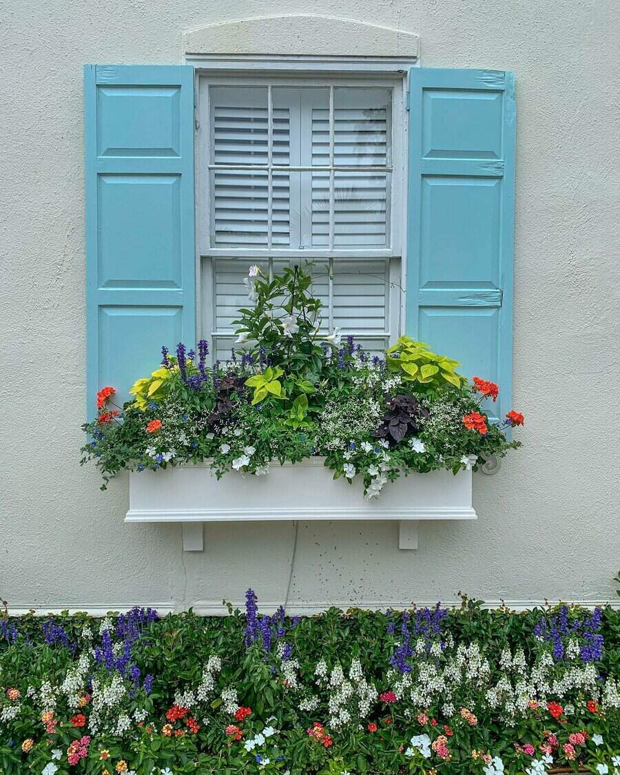 White window box