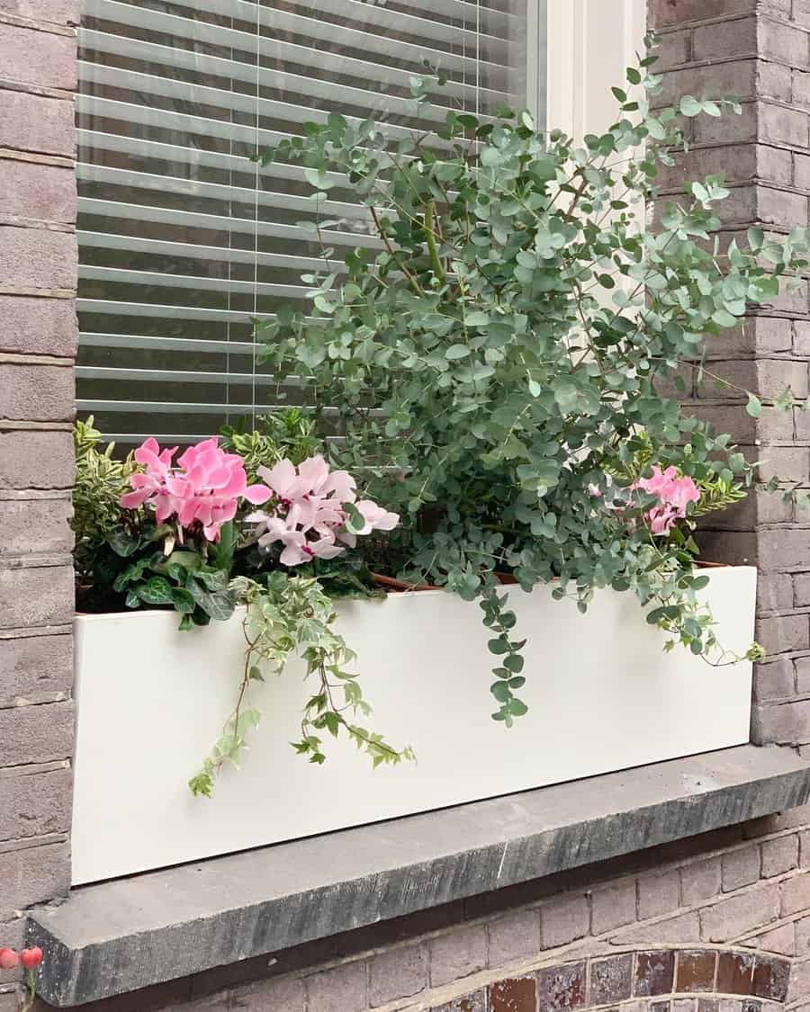 Standalone window box