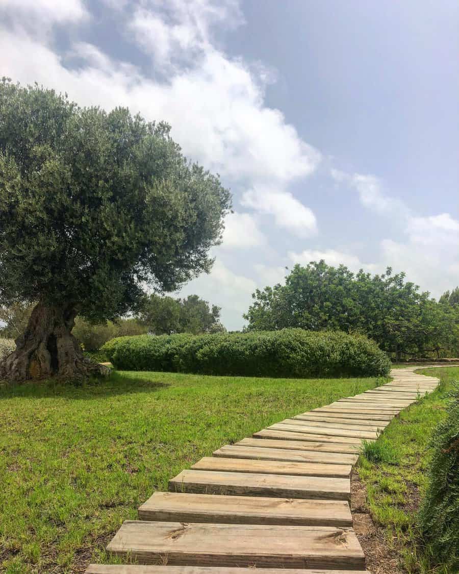 Wood garden path