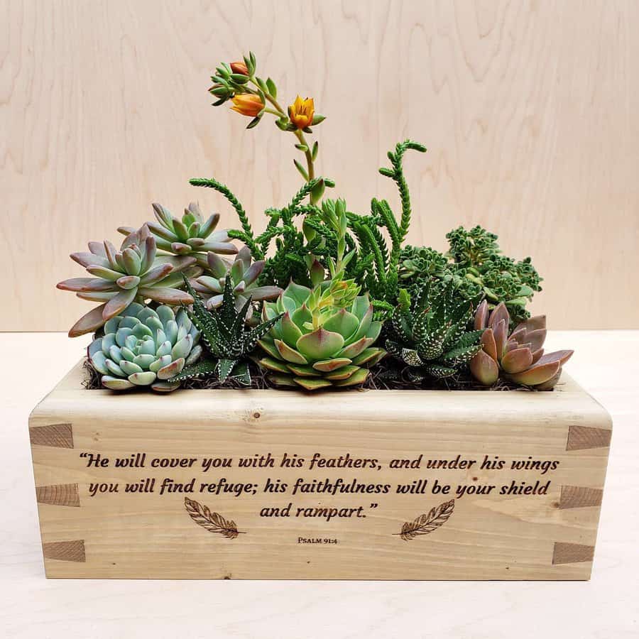 Wood desk planter 