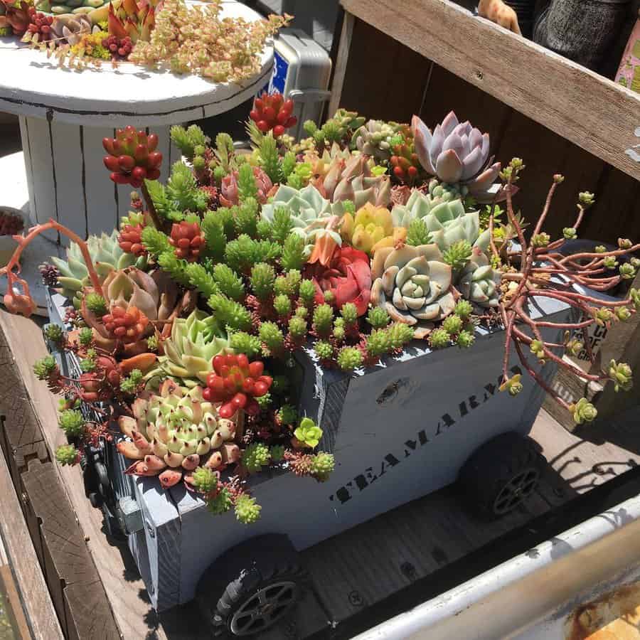 Truck succulent planter box