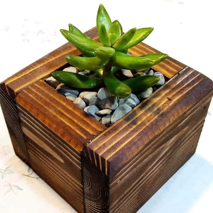 Wood desk planter 