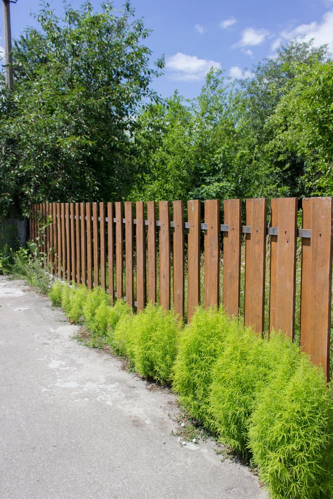 Wood fences