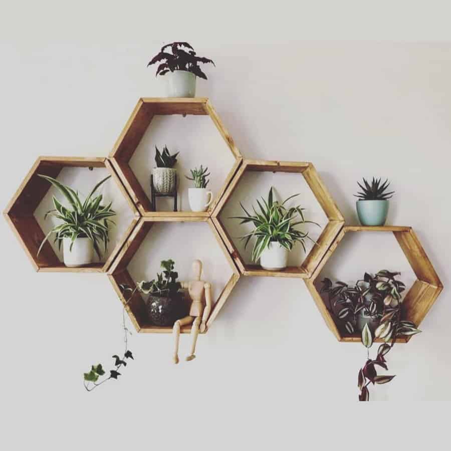 Mini wall shelf with plants 