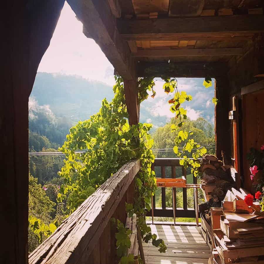 A wooden balcony with ivy climbing the railing overlooks a mountainous landscape under a bright sky