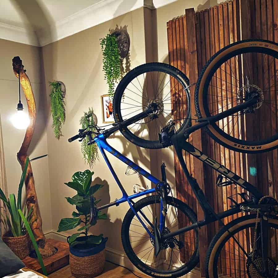 Bike storage hook