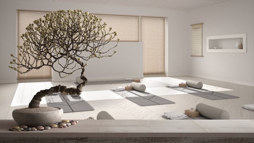 meditation room with light and neutral color palette