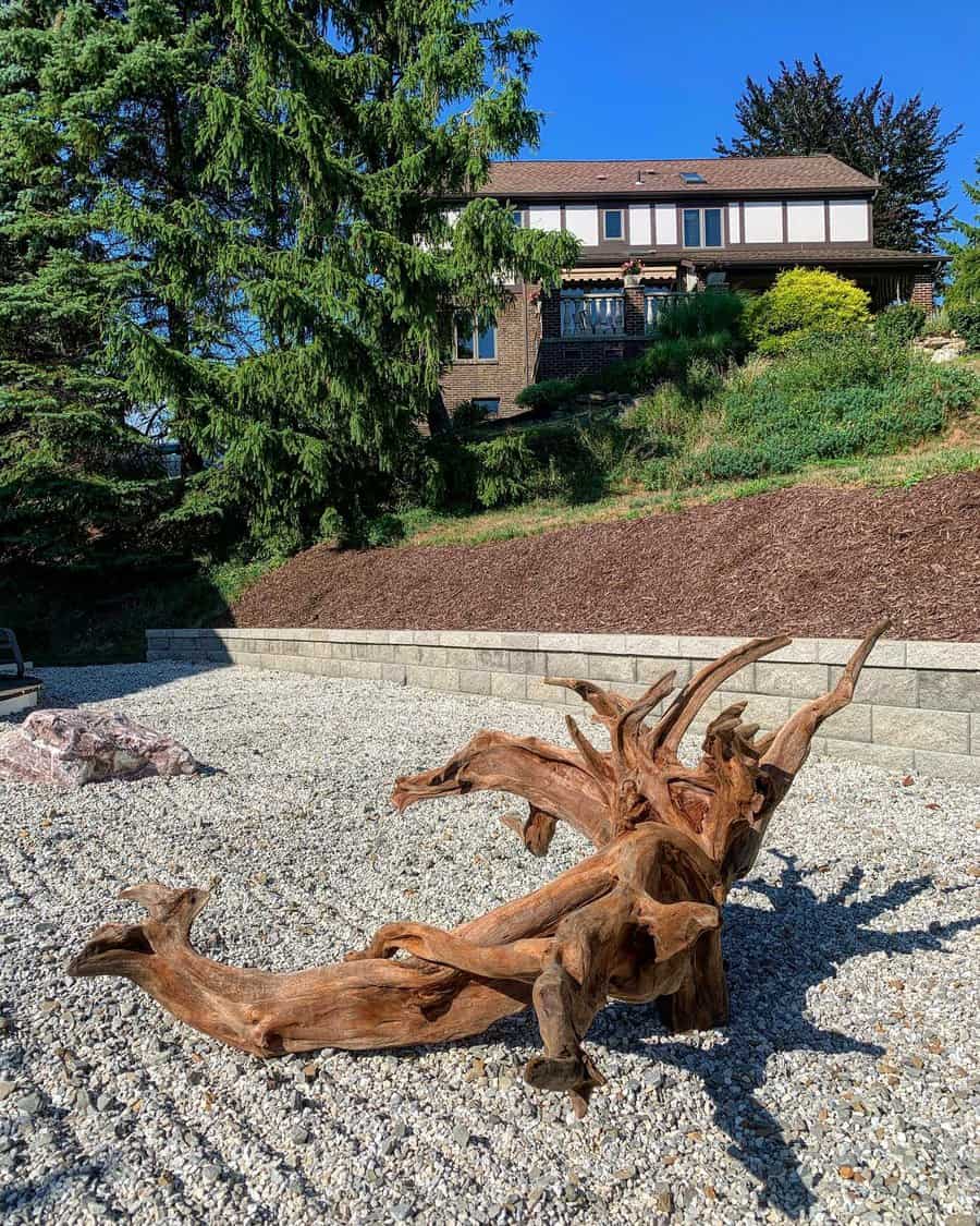 Large tree root sculpture on gravel with a hillside, evergreen trees, and a house in the background under a clear blue sky