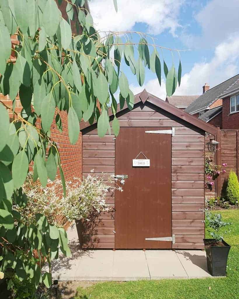 Brown wooden shed with a secure latch and a small sign reading 'Shed' in a neatly landscaped garden with greenery and flowers