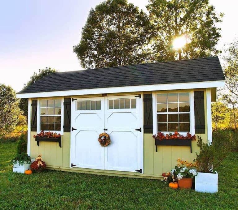 Shed Door Design Ideas Stylish & Functional Solutions for Your Outdoor